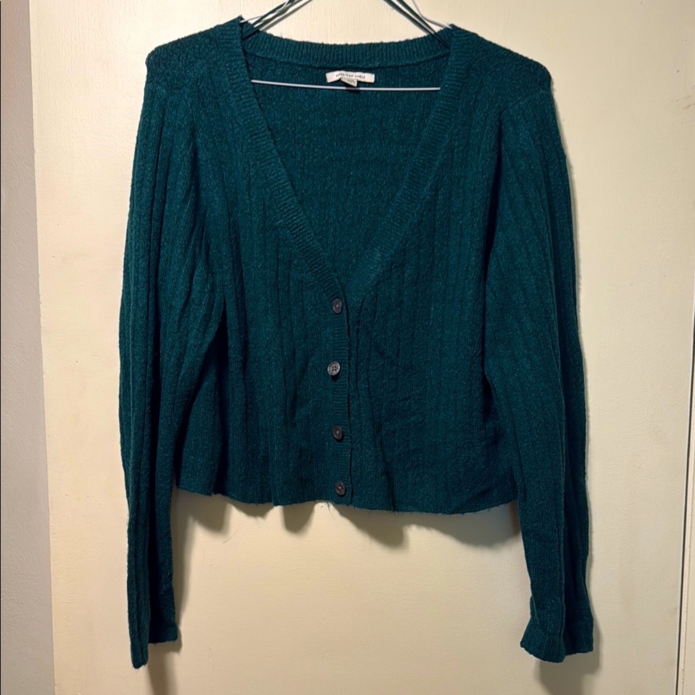 American Eagle Outfitters Green Cardigan Sweater